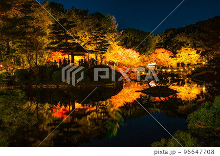 国の名勝縮景園の紅葉ライトアップの風景をどうぞ。広島浅野藩主や上田宗箇ゆかりの庭園です。広島県 国の名勝縮景園の紅葉ライトアップの風景をどうぞ。広島浅野藩主や上田宗箇ゆかりの庭園です。広島県 96647708