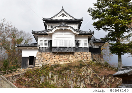 晩秋の風雲急を告げる風の備中松山城 96648149