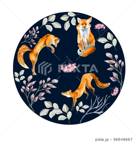 Christmas circle with foxes watercolor illustration isolated on dark. 96648667
