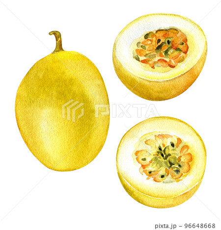 Set of passion fruits watercolor illustration isolated on white background. 96648668
