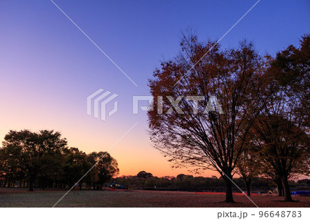 マジックアワー 96648783