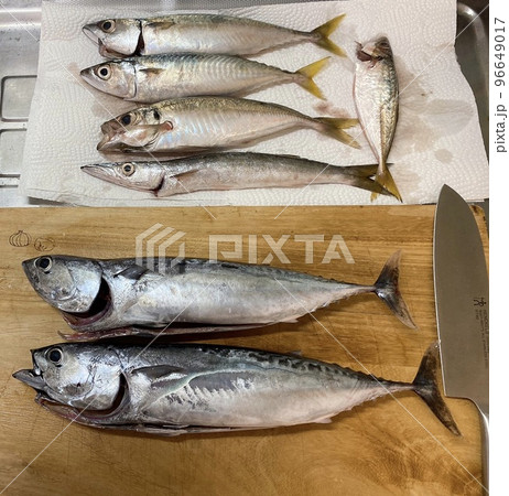 本日の釣果 96649017
