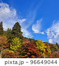 紅葉と青空を流れる雲 96649044