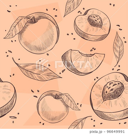 Ripe peaches on branches with foliage, fruits 96649991