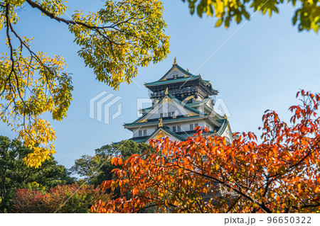 【紅葉】秋の大阪城公園【大阪城天守閣】 【紅葉】秋の大阪城公園【大阪城天守閣】 96650322