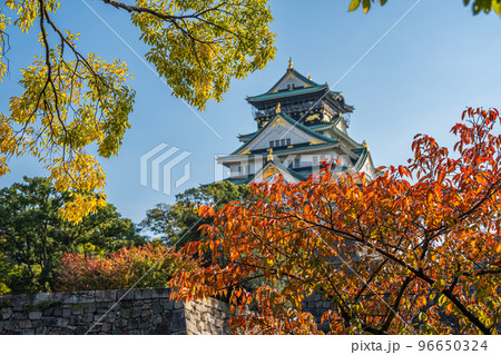 【紅葉】秋の大阪城公園【大阪城天守閣】 【紅葉】秋の大阪城公園【大阪城天守閣】 96650324