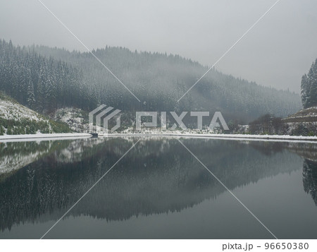 Winter lake and forest in the Carpathians 96650380