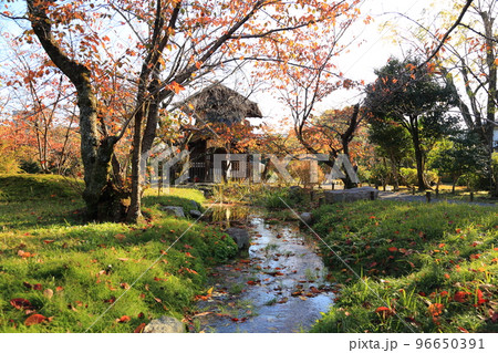 国名勝　渉成園（枳殻邸） ／ 東本願寺の飛地境内地【京都市下京区】 96650391