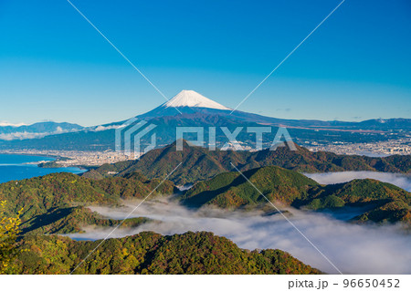 （静岡県）晩秋の伊豆山中から、大雲海に浮かぶ富士山 96650452