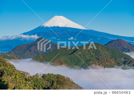 （静岡県）晩秋の沼津アルプス雲海の向こうに富士山 96650463