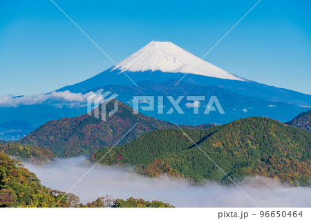 （静岡県）晩秋の沼津アルプス雲海の向こうに富士山 96650464