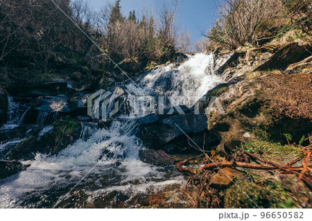 A waterfall in a forest A waterfall in a forest 96650582