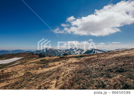 A close up of a dry grass field A close up of a dry grass field 96650586
