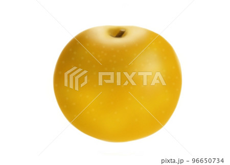 梨 なし ナシ 梨 なし ナシ 96650734