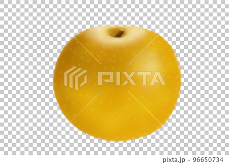 梨 なし ナシ 梨 なし ナシ 96650734