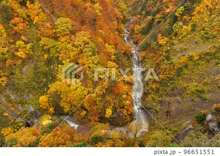 紅葉見頃の城ヶ倉渓谷(青森県青森市)横構図 紅葉見頃の城ヶ倉渓谷(青森県青森市)横構図 96651551