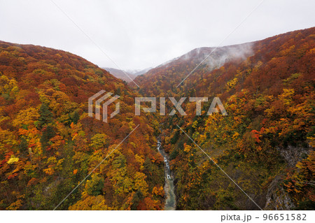 紅葉見頃の城ヶ倉渓谷（青森県青森市） 96651582