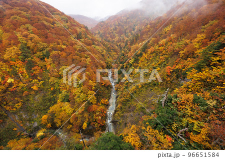 紅葉見頃の城ヶ倉渓谷(青森県青森市)橋中央部見上げ 紅葉見頃の城ヶ倉渓谷(青森県青森市)橋中央部見上げ 96651584