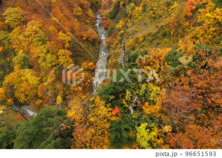 紅葉見頃の城ヶ倉渓谷(青森県青森市) 紅葉見頃の城ヶ倉渓谷(青森県青森市) 96651593