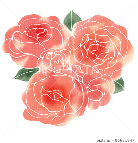 グラデーションのバラ 96651947