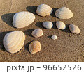 砂浜と貝殻たち 96652526