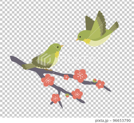 A nightingale perched on a plum tree and a flying nightingale 96653790