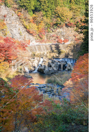 【愛知県】　大井平公園　紅葉 96653926