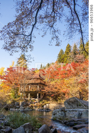 【愛知県】　大井平公園　紅葉 96653966