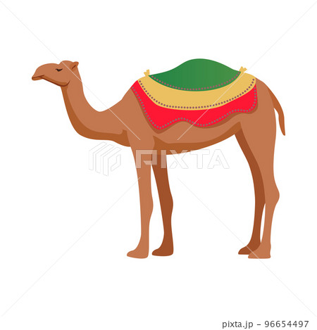 Travel UAE Camel Composition 96654497