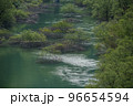 新緑の緑が美しい渓流の景色 96654594