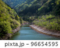 新緑の緑が美しいダム湖の景色 96654595