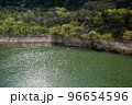 新緑と緑の水が美しいダム湖の景色 96654596