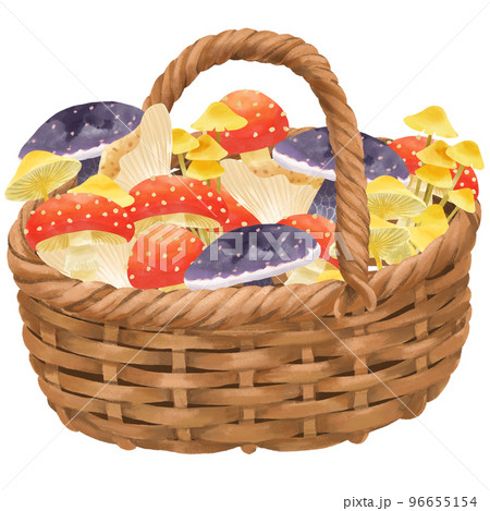 カゴいっぱいに入ったキノコのイラスト 96655154