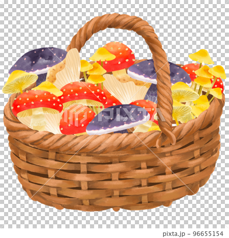 カゴいっぱいに入ったキノコのイラスト 96655154