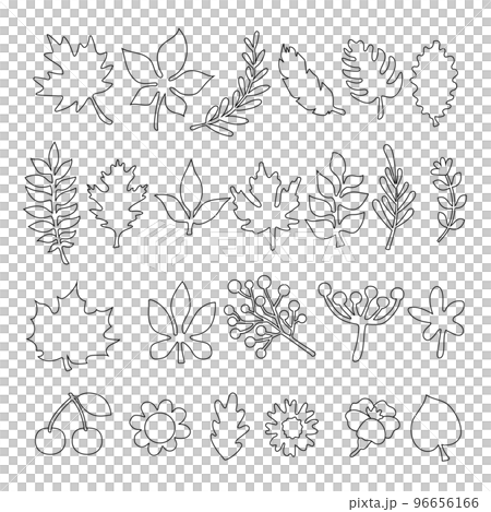 Leaves and flowers Leaves and flowers 96656166