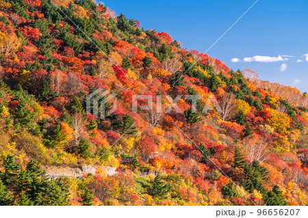 《福島県》天狗の庭の紅葉・磐梯吾妻スカイライン《紅葉最盛期》 96656207