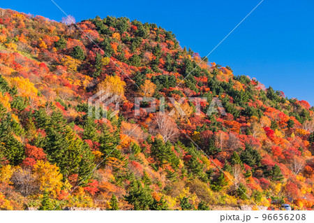 《福島県》天狗の庭の紅葉・磐梯吾妻スカイライン《紅葉最盛期》 96656208