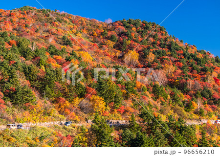 《福島県》天狗の庭の紅葉・磐梯吾妻スカイライン《紅葉最盛期》 96656210