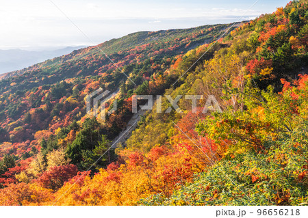 《福島県》天狗の庭の紅葉・磐梯吾妻スカイライン《紅葉最盛期》 96656218