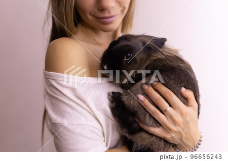 Close up woman holding cute fluffy rabbit, animal and pet concept Close up woman holding cute fluffy rabbit, animal and pet concept 96656243
