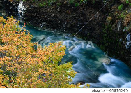 【北海道美瑛町】美瑛川と紅葉 【北海道美瑛町】美瑛川と紅葉 96656249