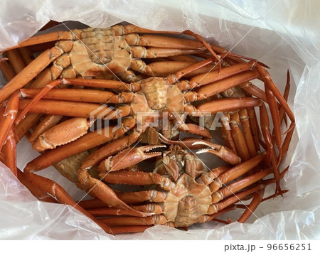 香住の蟹 96656251