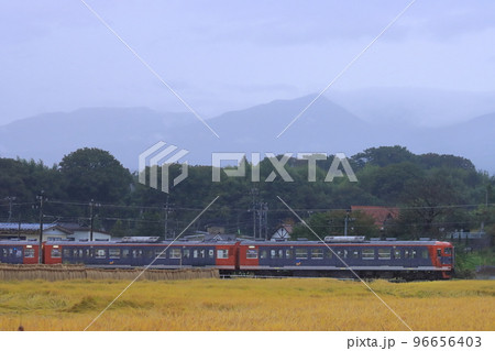 豊作の軽井沢を駆け抜けるしなの鉄道115系電車_2022/10/9撮影 96656403