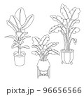 Potted plants 96656566
