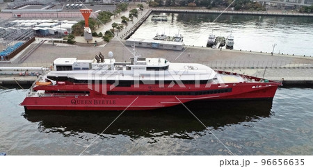 クイーンビートルの横顔 96656635