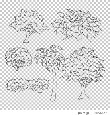 Trees and bushes Trees and bushes 96656646