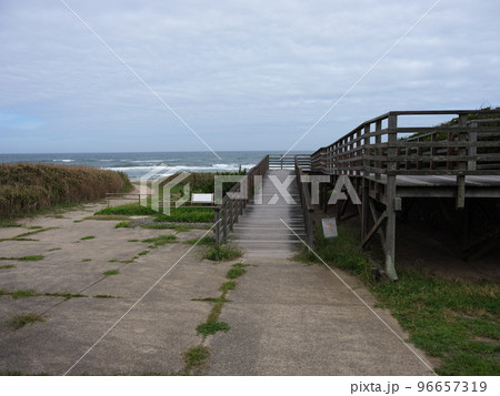 鹿島灘海浜公園 96657319