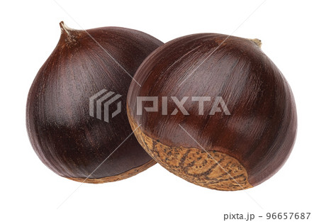 Chestnut isolated on white background Chestnut isolated on white background 96657687