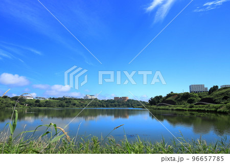 北海道 釧路市 春採湖の夏 北海道 釧路市 春採湖の夏 96657785