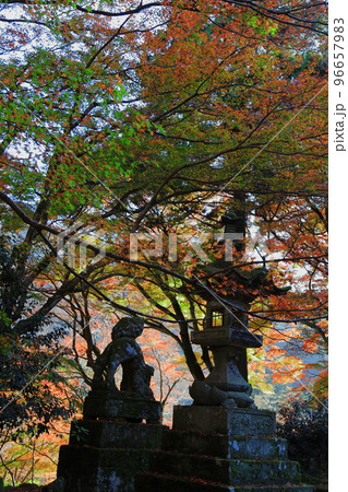鰐淵寺の紅葉 鰐淵寺の紅葉 96657983